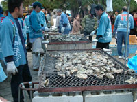 Oysters Festival