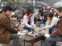 Oysters Festival