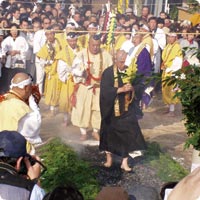 Hiwatarishiki