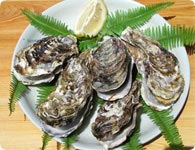 Oyster