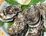 Oyster
