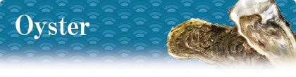 Oyster