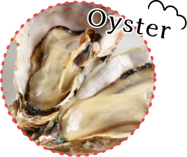 Oyster