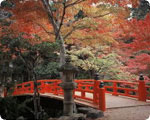 Momijidani Park