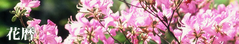花暦