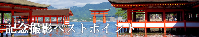 �L�O�B�e�x�X�g�|�C���g