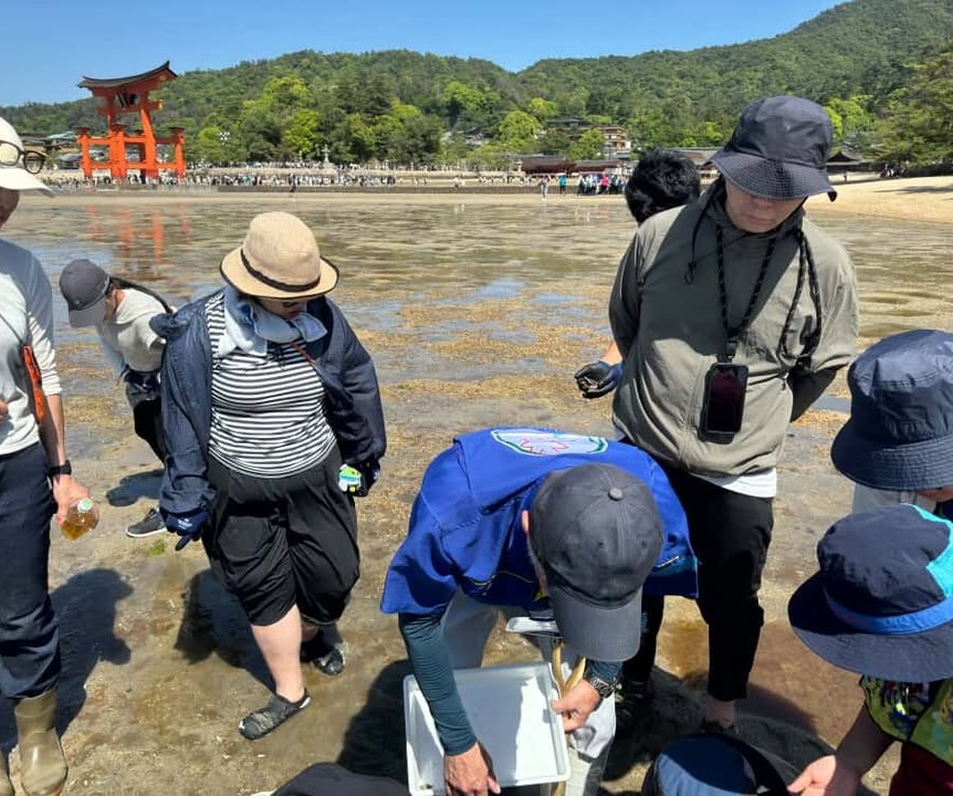 チームKIIの写真探します きらっと宮島プロジェクトのイベント内容！海岸清掃&干潟観察レポ