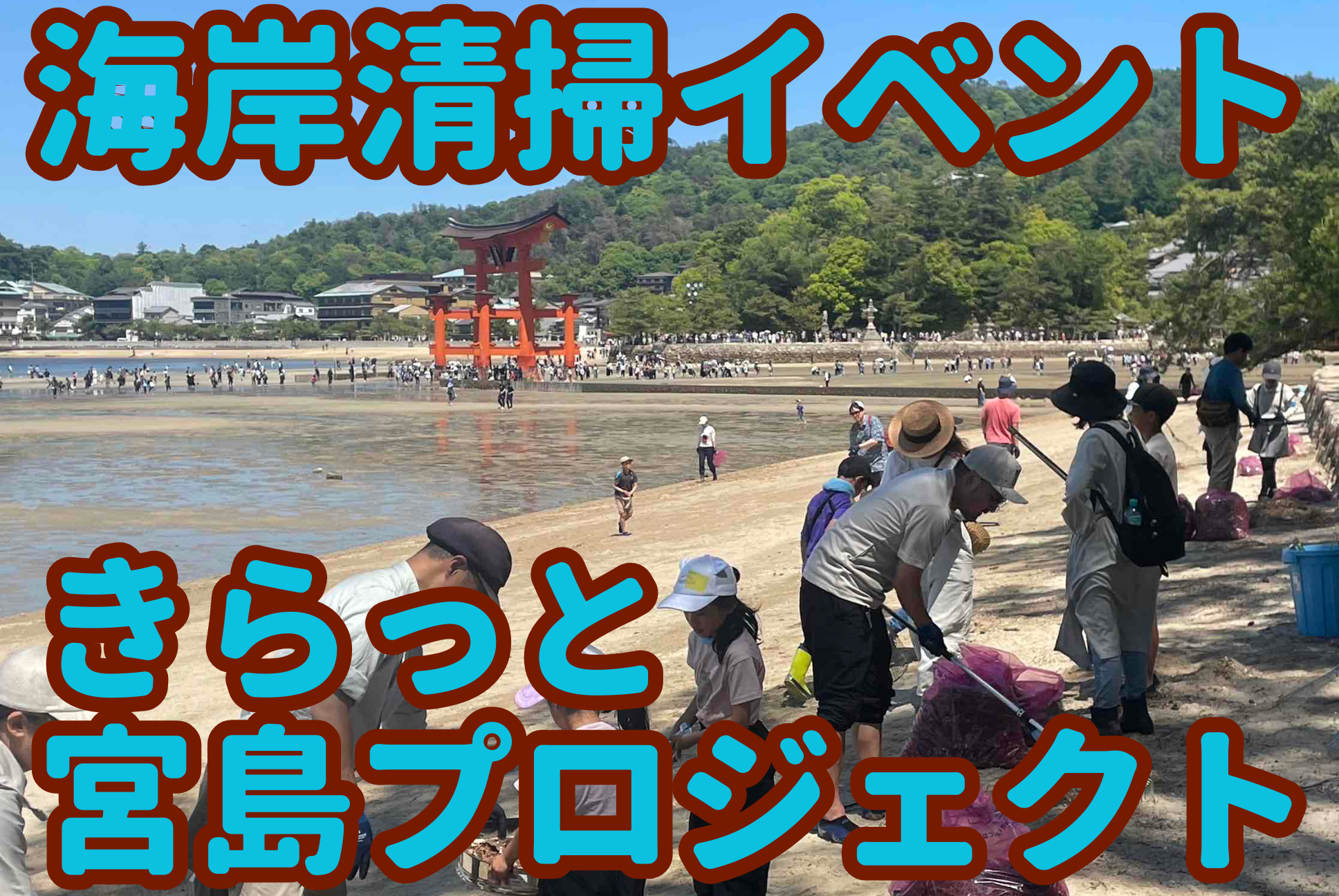 きらっと宮島プロジェクトのイベント内容！海岸清掃&干潟観察レポ