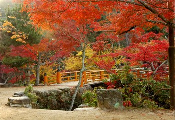 紅葉谷公園入口 もみじ橋