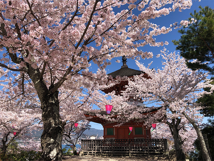 多宝塔