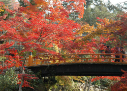 紅葉谷公園